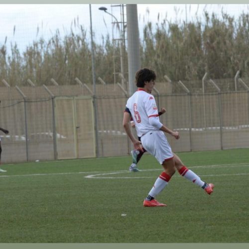 Bari, Iachini ne convoca 27. Out Matino, c’è Acampora. Sorpresa Memeo