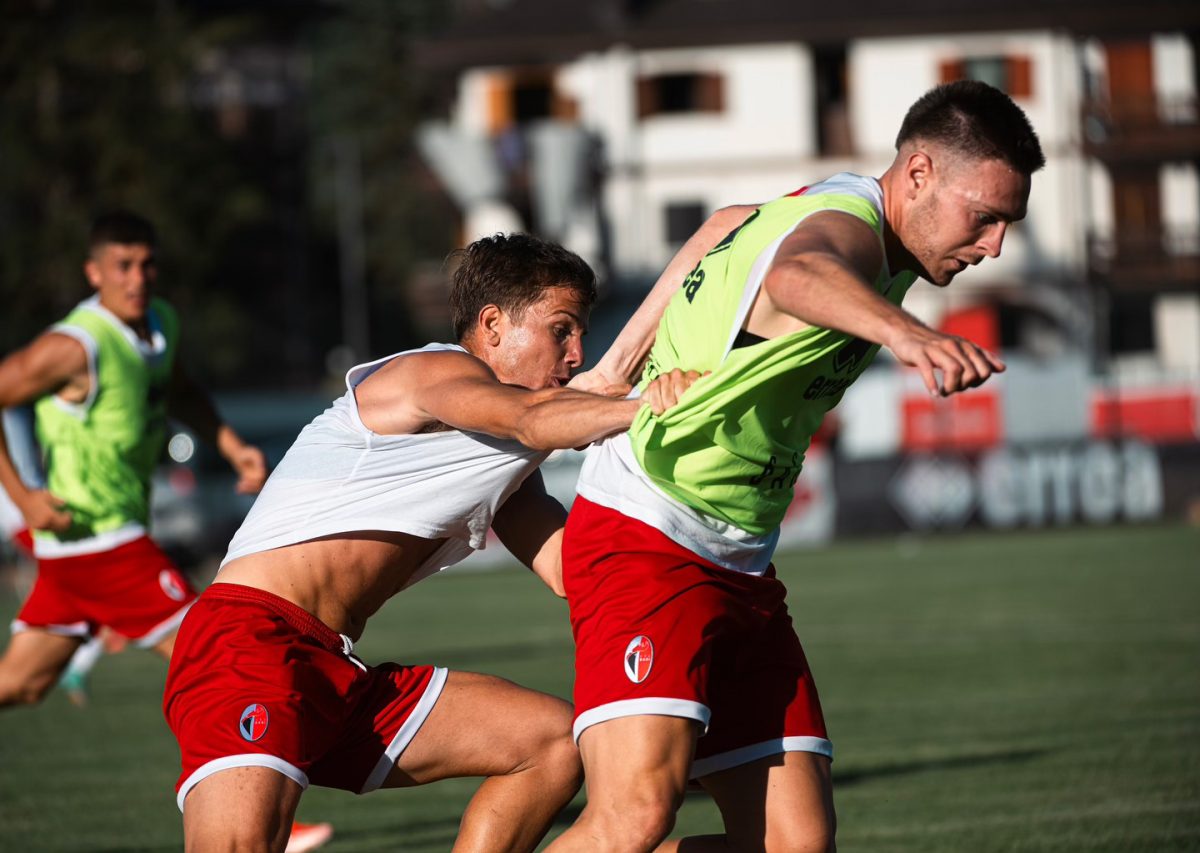 Bari Scheidler Faggi