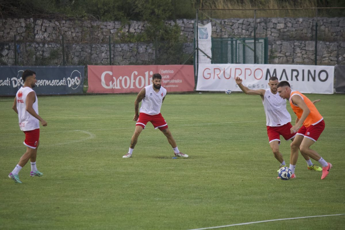 Scheidler Allenamento