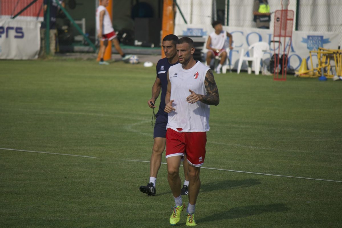 Longo Vicari Simic