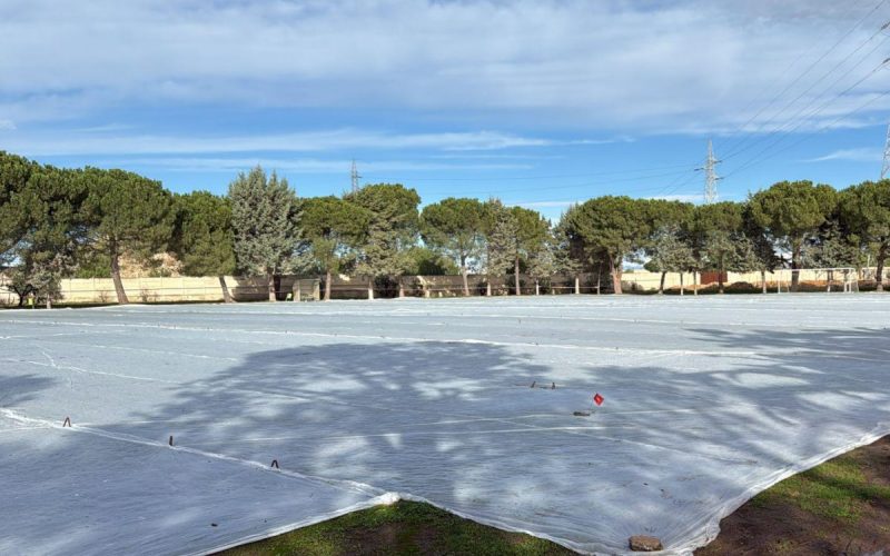 Bari allenamento SKF