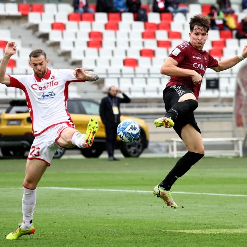 Il ritorno del capitano. Vicari, tra alti e bassi, è pronto a guidare il Bari