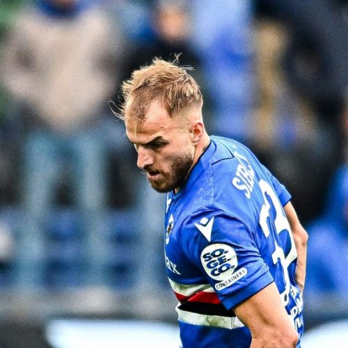 Serie B, si parte stasera con Sampdoria-Sassuolo. Domani il Bari, domenica Spezia-Catanzaro. Il programma