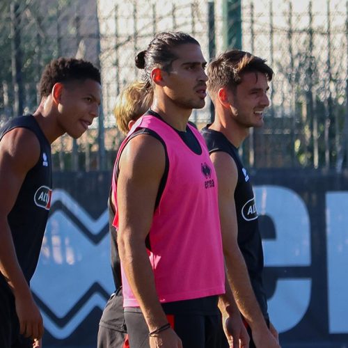 Bari, -3 alla Samp. Un difensore a parte, il report dell’allenamento
