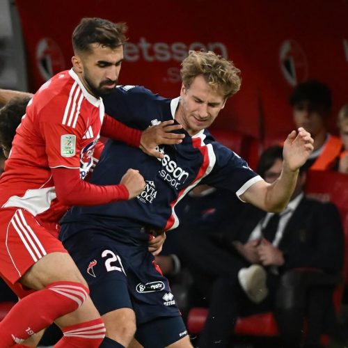 Bari, oggi la ripresa a porte chiuse. Domenica c’è Mignani