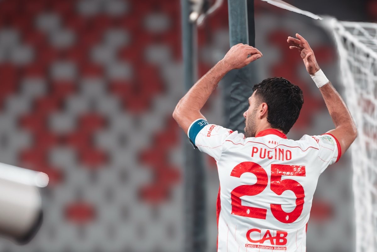 Pucino