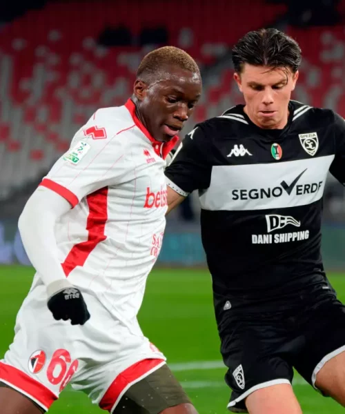 Dalla Samp alla Carrarese, in mezzo Pescara e Reggiana. Il calendario del Bari fino alla sosta