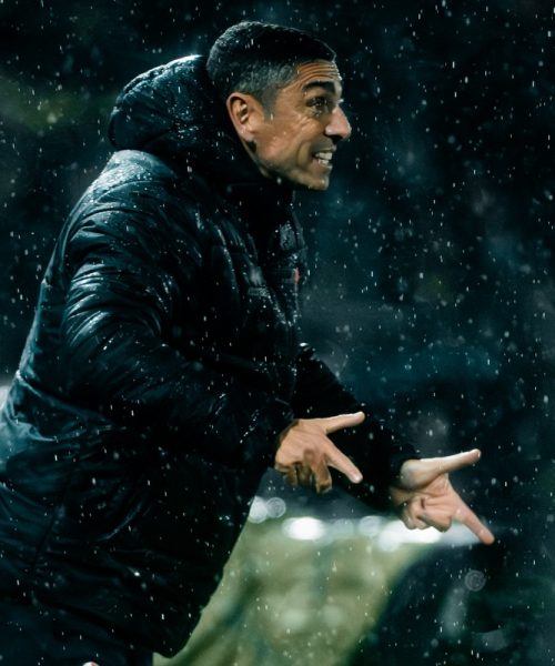 Bari sconfitto, ma la salvezza è ancora lì. Con la Carrarese sarà da dentro o fuori