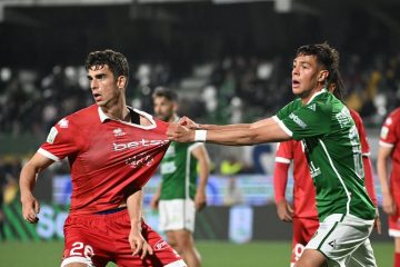 Avellino-Bari 2-0: il tabellino della sfida del Partenio