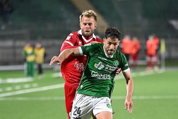 Avellino-Bari 2-0, gli highlights della sfida del Partenio. VIDEO