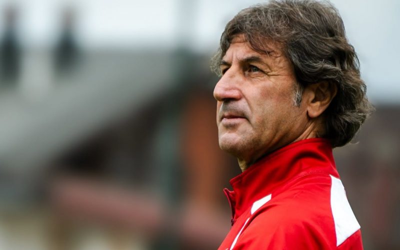 Rastelli