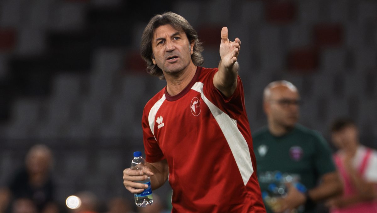 Rastelli