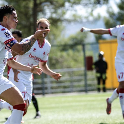 Sorrento-Bari 1-2, gli highlights della sfida del Curcio. VIDEO